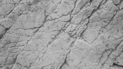 A rough, dry, cracked bark pattern on an old tree, resembling textured ground in a drought-stricken desert