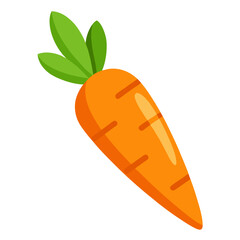 Carrot vector icon on white background.