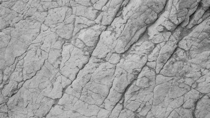 A rough, dry, cracked bark pattern on an old tree, resembling textured ground in a drought-stricken desert