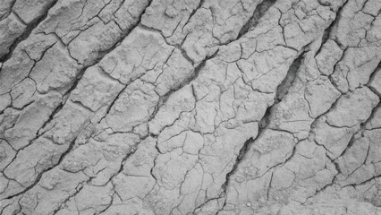 A rough, dry, cracked bark pattern on an old tree, resembling textured ground in a drought-stricken desert