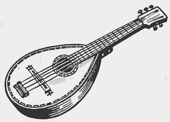 mandolin vector illustration