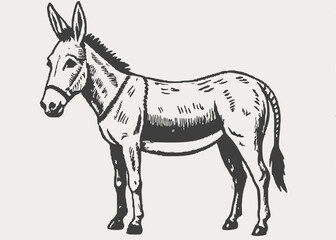 donkey vector isolated on white background