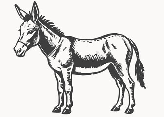 donkey vector isolated on white background