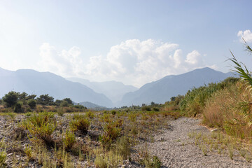Scenic mountain landscape with lush greenery and rocky terrain under a bright blue sky