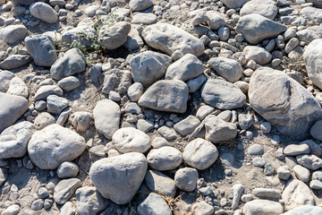 Natural river stones and pebbles scattered across a sunlit riverbank creating a textured landscape