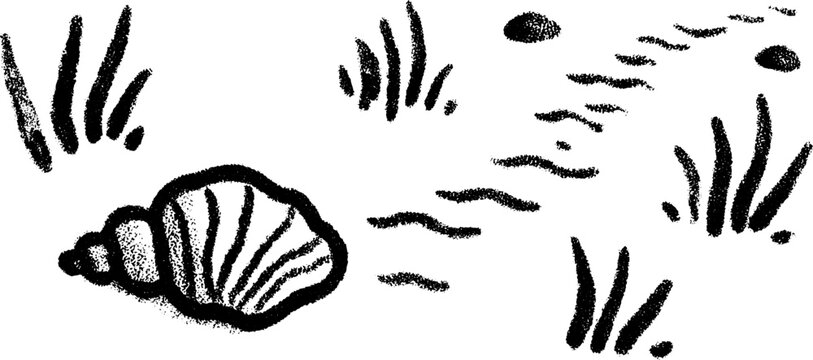 Artistic sketch of seashell path leading to water with textured lines