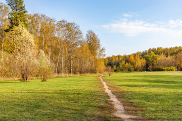 Autumn forest path background. Orange color tree, red maple leaves in fall city park. Nature scene in sunrise. Scenic scenery Bright light sun. Sunrise of a sunny day, morning sunlight view.
