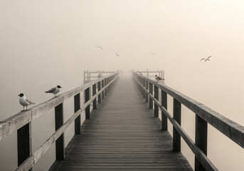 Obraz premium Tranquil Pier Leading into Foggy Lake with Seabirds Perched on Posts in Minimalist Monochrome Morning Light