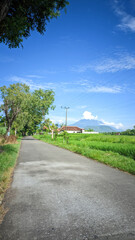 Picturesque Rural Road Leads to Lush Rice Paddies Under a Clear Sky.