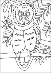 owl on branch