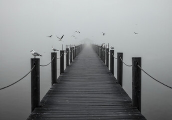 Obraz premium Tranquil Pier Leading into Foggy Lake with Seabirds Perched on Posts in Minimalist Monochrome Morning Light