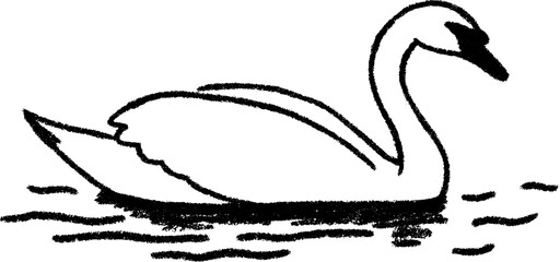 Obraz premium Serene swan sketch gliding on still water