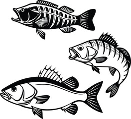 Bass Fish Set Black and White Vector Illustration