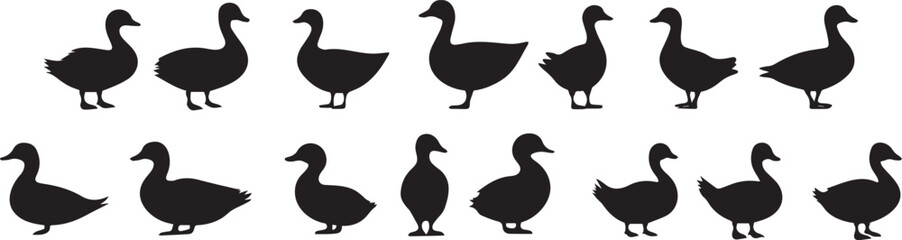 Collection of Duck Silhouettes Versatile Graphics for Design Projects