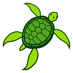 Water turtle child cute swims happy drawing Comic