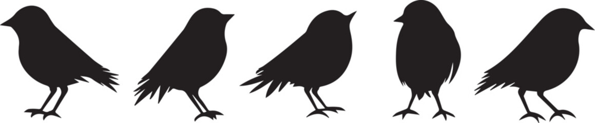 Five Bird Silhouettes Vector Graphic Design Elements