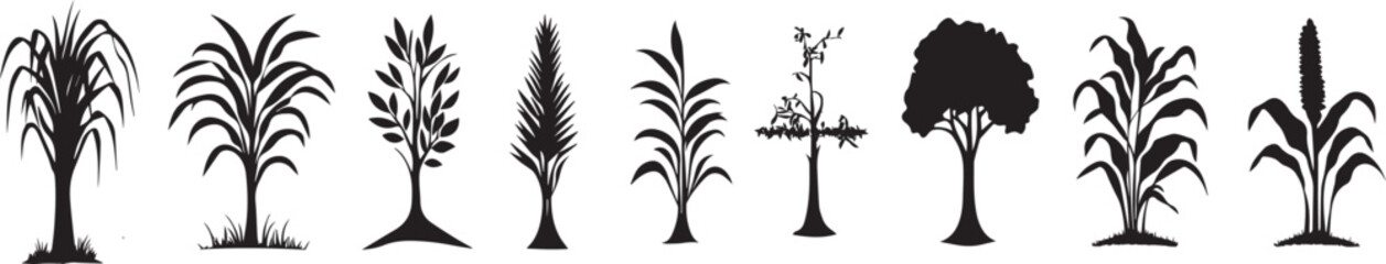 Collection of Plant Silhouettes Sugarcane Palm Tree and More  Botanical Vector Graphics for Design Projects