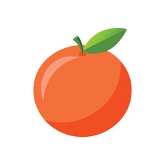 vector illustration of tomato