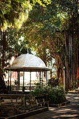 gazebo in the park