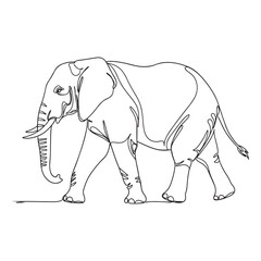 Obraz premium African elephant single line drawing minimalist art