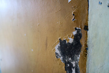 Textured Wall with Peeling Paint
