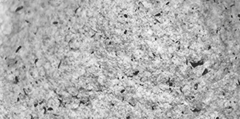 Grey, white watercolor textured on white paper background. smog texture art design. smoke vape vector cloud dreamy atmosphere dramatic smoke minimal design for digital art, presentations, wallpapers.	