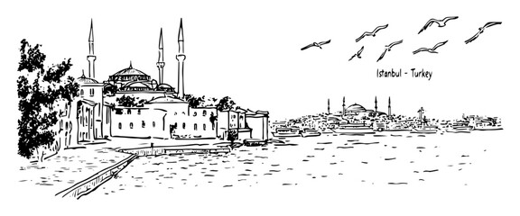 Naklejka premium istanbul skyline and mosques vector illustration