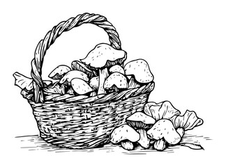 wild mushrooms in braided basket vector illustration