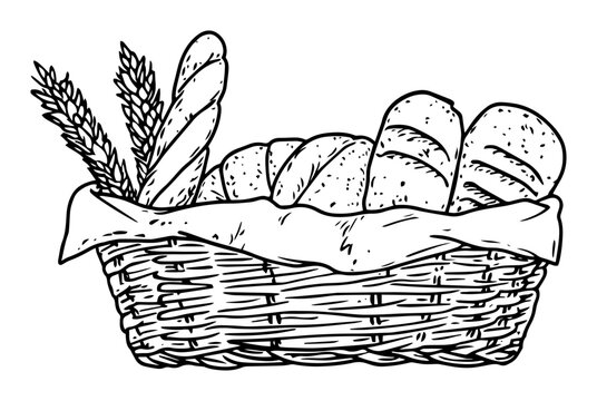 basket with assorted bread and wheat vector sketch