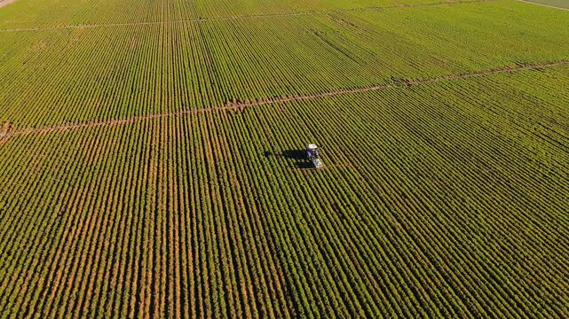 Tractor fumigating a cultivated field in Mendoza, Argentina. Aerial view.