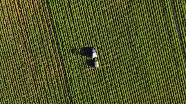 Tractor fumigating a cultivated field in Mendoza, Argentina. Aerial view.