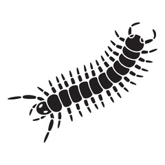 Centipede. Vector black silhouette. with white background