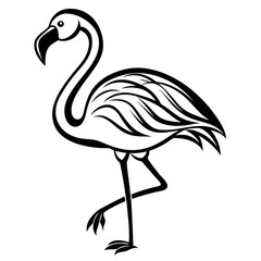 Continuous line drawing of flamingo
