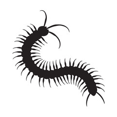 Centipede. Vector black silhouette. with white background