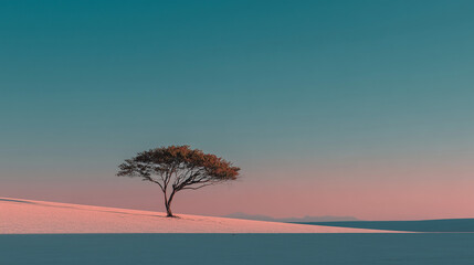 Peaceful Nature Scene Featuring a Tree in a Wide, Open Field