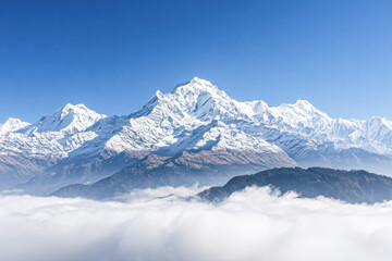 Snow-covered mountain peaks rise above a sea of clouds under a clear blue sky.