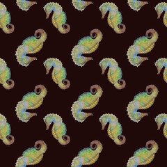 seamless pattern sea horse without background 