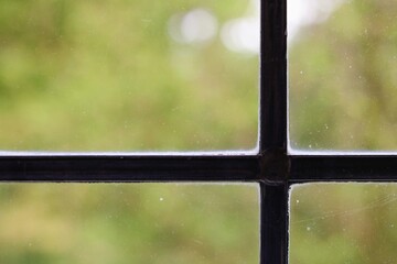 View of greenery through leaded glass window