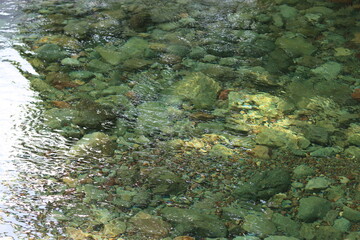 Clear river water with a bed of stones