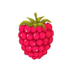 Raspberry berry. Ripe summer berry with green leaves on a white background.