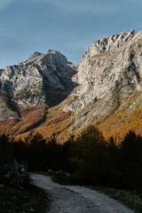 Narrow trail winding through vibrant autumn forest beneath steep cliffs in Prokletije National Park, Montenegro, a peaceful hiking scene.