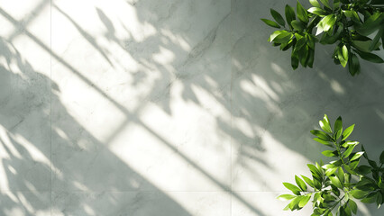 plant leaves on white marble wall background 2