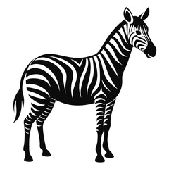 Striped Zebra Illustration Black and White Vector Graphic of a Majestic African Equine