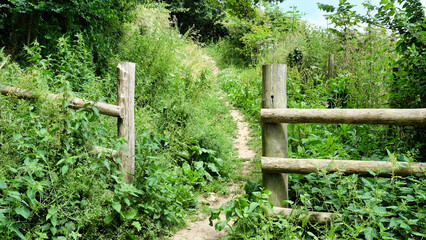 fence leading up path