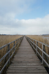 Obraz premium Endless Path — Wooden Bridge Under Moody Grey Skies