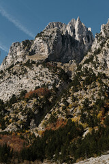 Jagged limestone peaks rise above a vibrant autumn forest in Prokletije National Park, Montenegro, under a deep blue sky. Ropojana valley mountains.
