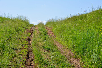 A dirt road winding through a grassy hill under a clear sky copy space