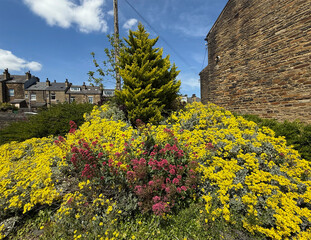 Yellow and red flowers grow in front of a stone building, with a lush green tree at the center. Victorian houses line the background under a blue sky with scattered clouds. in, Shipley, Yorkshire, UK