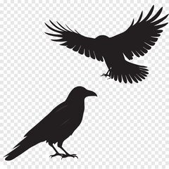 Pigeon Silhouette Vector Illustration of Flying Bird in Black and White Style