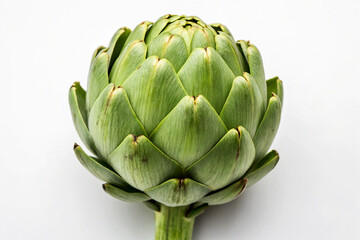 Fototapeta premium Single Artichoke Head Tightly Closed Green Leaves artichoke heart